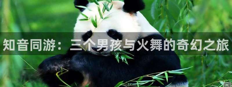 漫蛙超话：知音同游：三个男孩与火舞的奇幻之旅