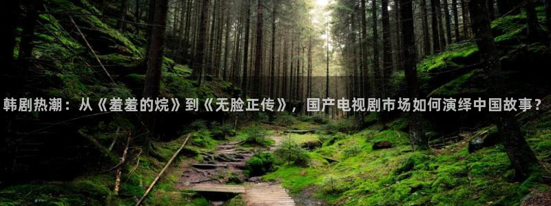 漫蛙怎么去除广告：韩剧热潮：从《羞羞的烷》到《无脸正传》，国产电视剧市场如何演绎中国故事？