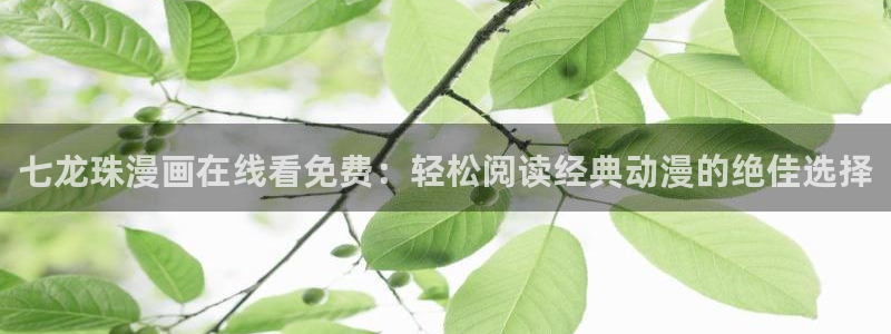 漫蛙了