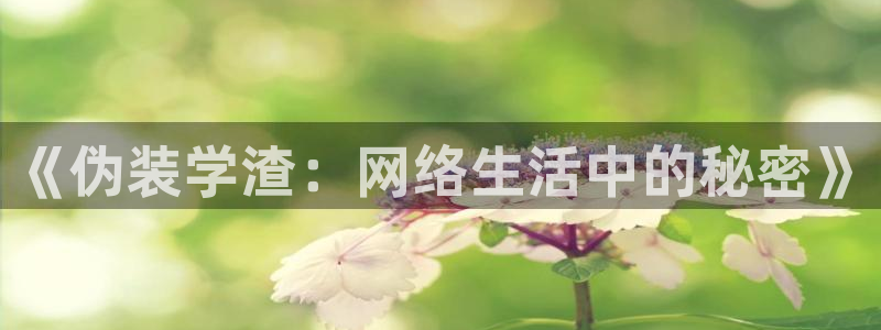 漫蛙manwa2免费漫