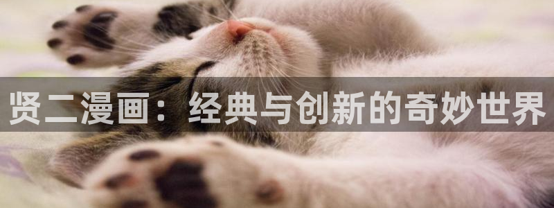 漫蛙在线app