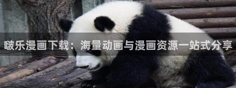 漫蛙h