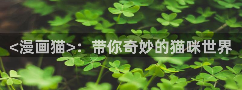 漫蛙2下载