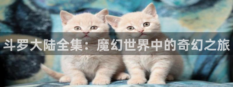 漫蛙漫画(网页版)免费下载