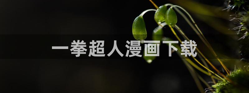 漫蛙防走失站