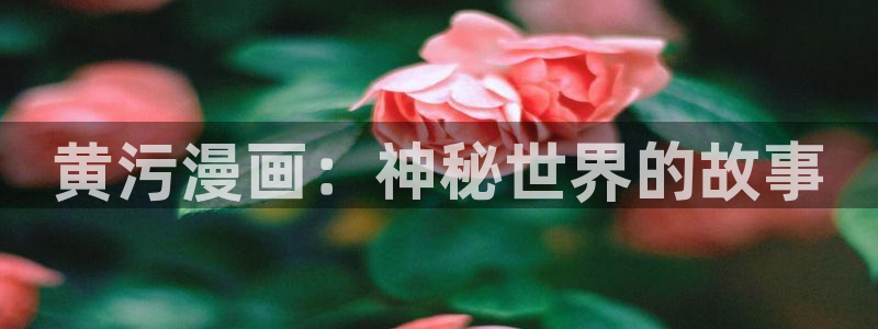 漫蛙漫画在线阅读漫画