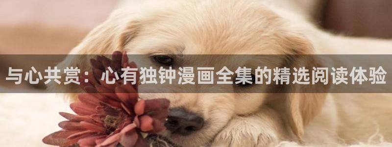 漫蛙网址在线