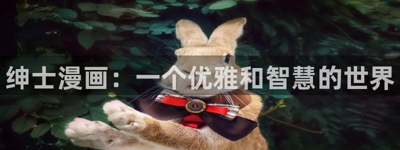 漫蛙在哪里下载