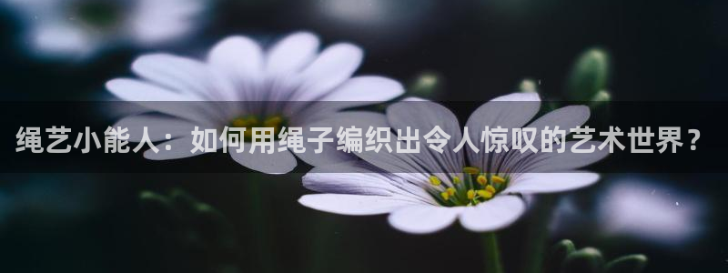 漫蛙网页版免费进入2025