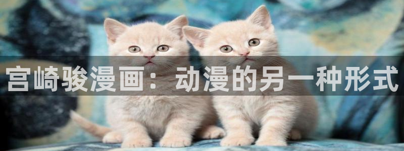 漫蛙动画