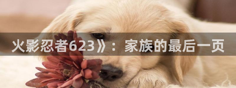 漫蛙漫画(网页入口)官网版