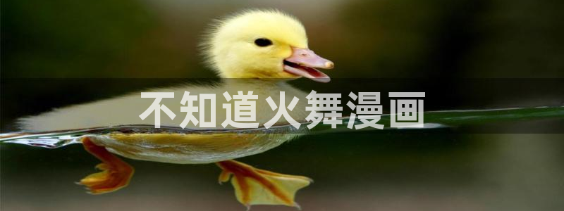 微博漫蛙