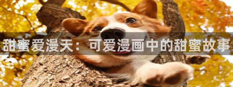 漫蛙漫画网页入口防走丢