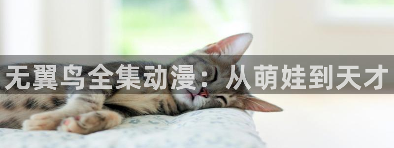 漫蛙漫蛙漫画官网首页进入在线看免费漫画网