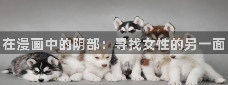 漫蛙链接网页版