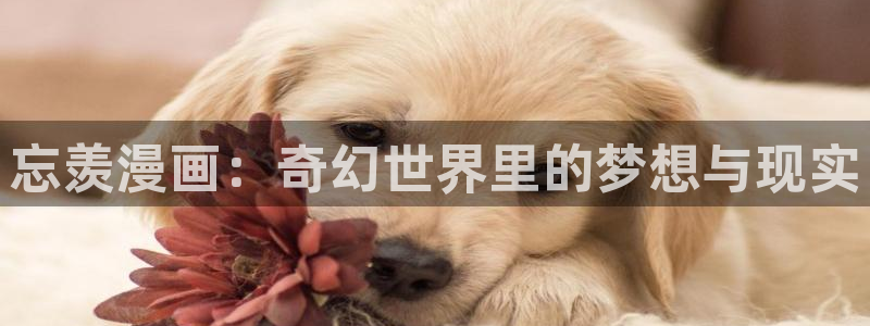 deepdown漫蛙漫画官网入口