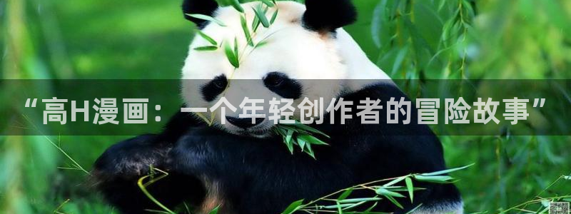 漫蛙旧版