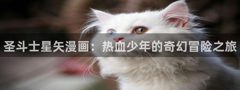 漫蛙manwa2正版下载逗游